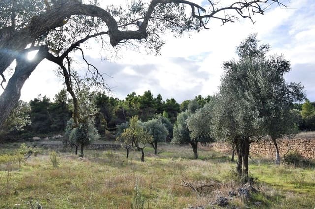 Finca/Landhuis te koop in Valderrobres - € 12.000 (Ref: 9150203)