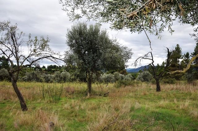 Finca/Landhuis te koop in Valderrobres - € 12.000 (Ref: 9150203)