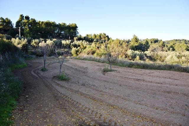 Finca/Landehus til salg i Horta de Sant Joan - € 10.000 (Ref: 9150205)
