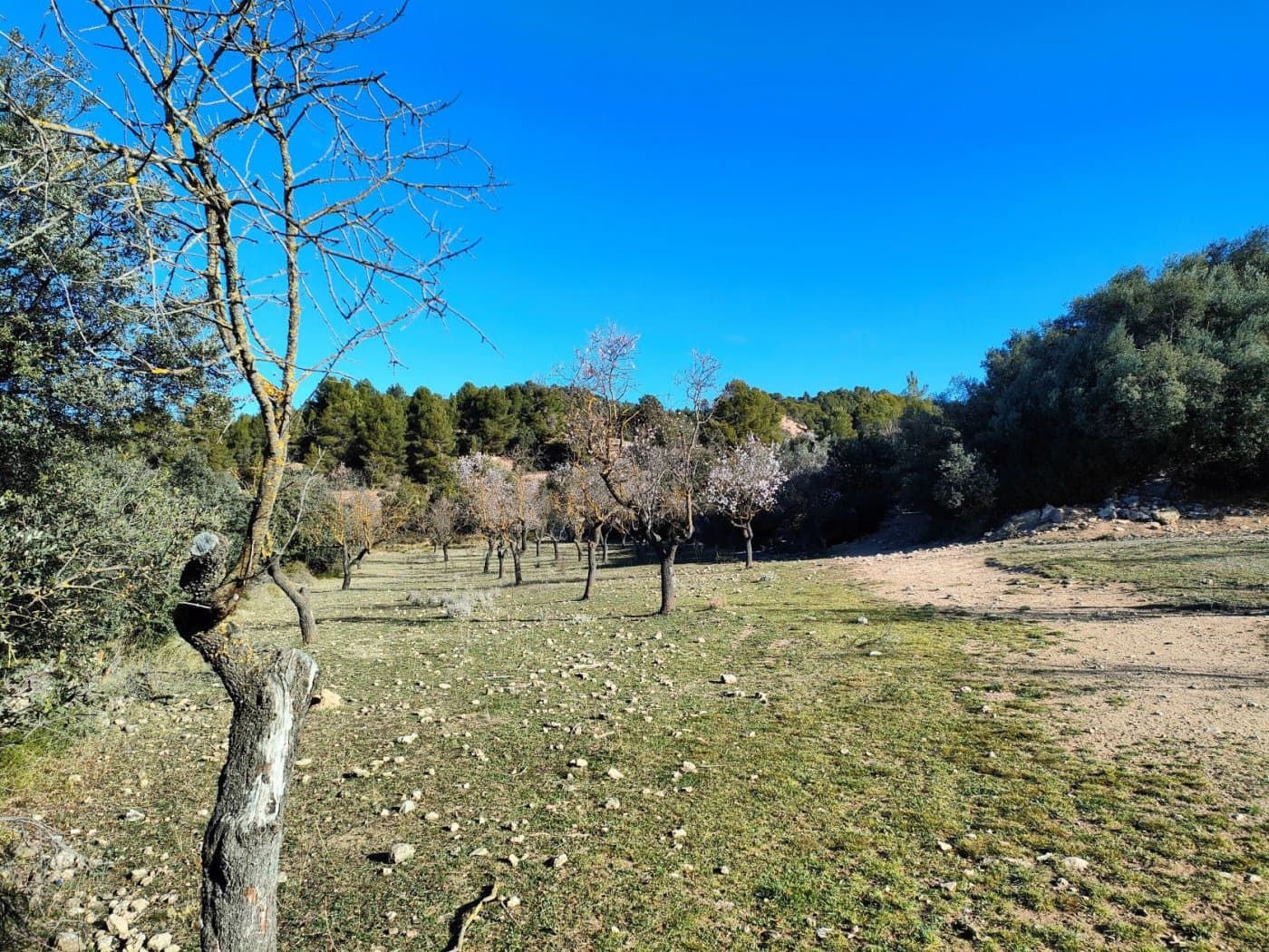 Finca/Landehus til salg i Horta de Sant Joan - € 25.000 (Ref: 9150209)