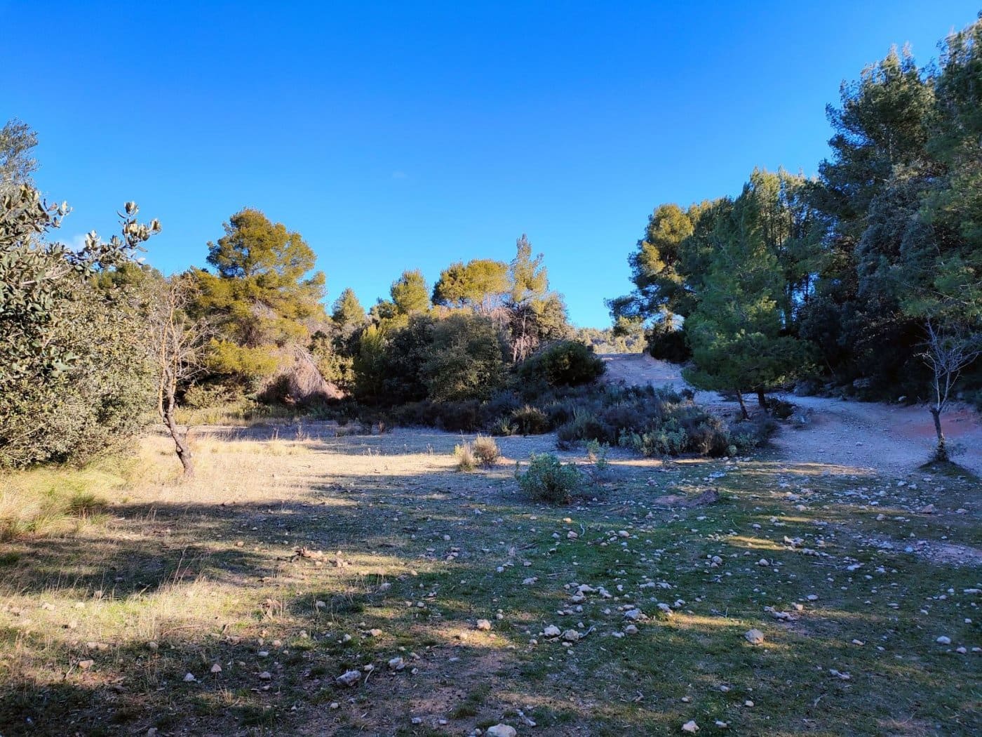 Finca/Landehus til salg i Horta de Sant Joan - € 25.000 (Ref: 9150209)
