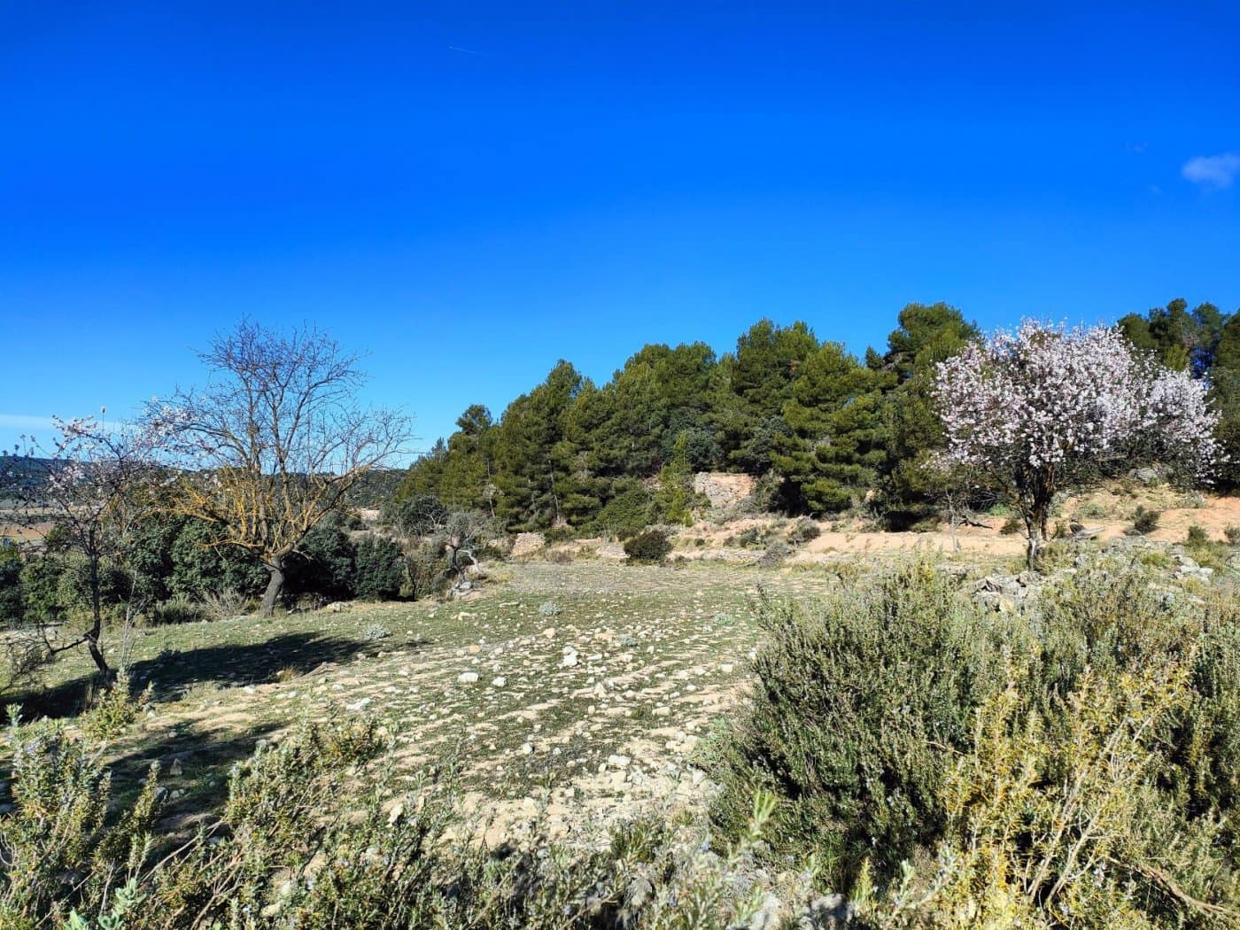 Finca/Landehus til salg i Horta de Sant Joan - € 25.000 (Ref: 9150209)