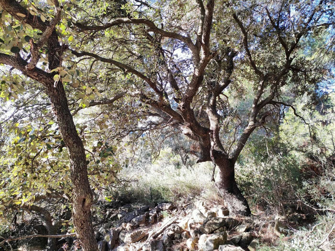 Finca/Landehus til salg i Horta de Sant Joan - € 25.000 (Ref: 9150209)