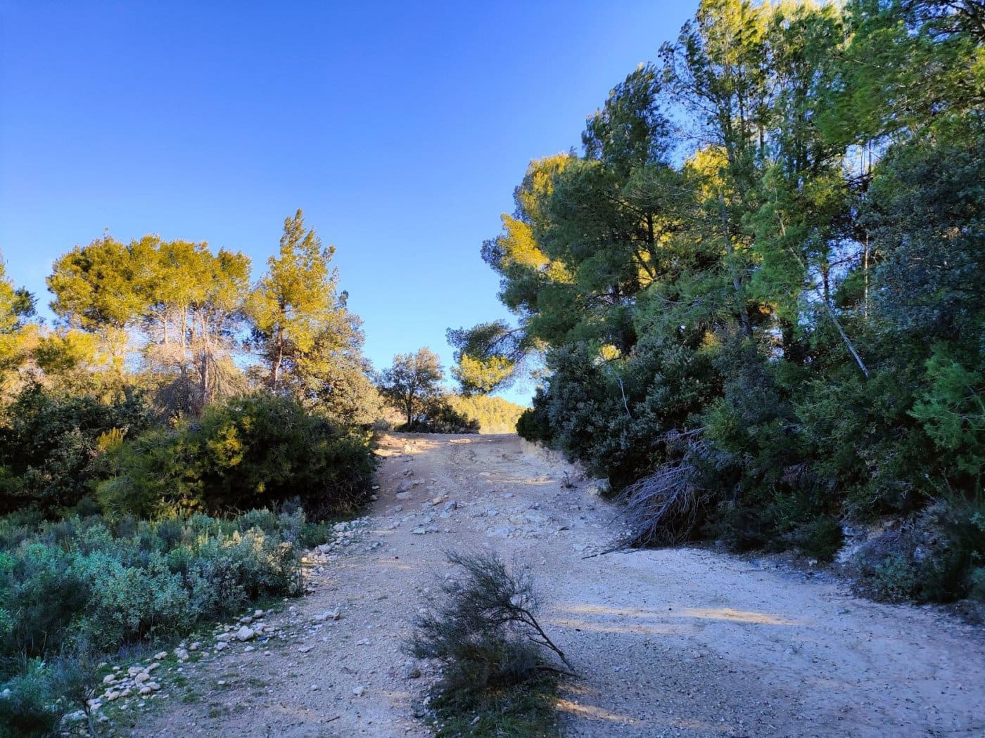 Finca/Landehus til salg i Horta de Sant Joan - € 25.000 (Ref: 9150209)