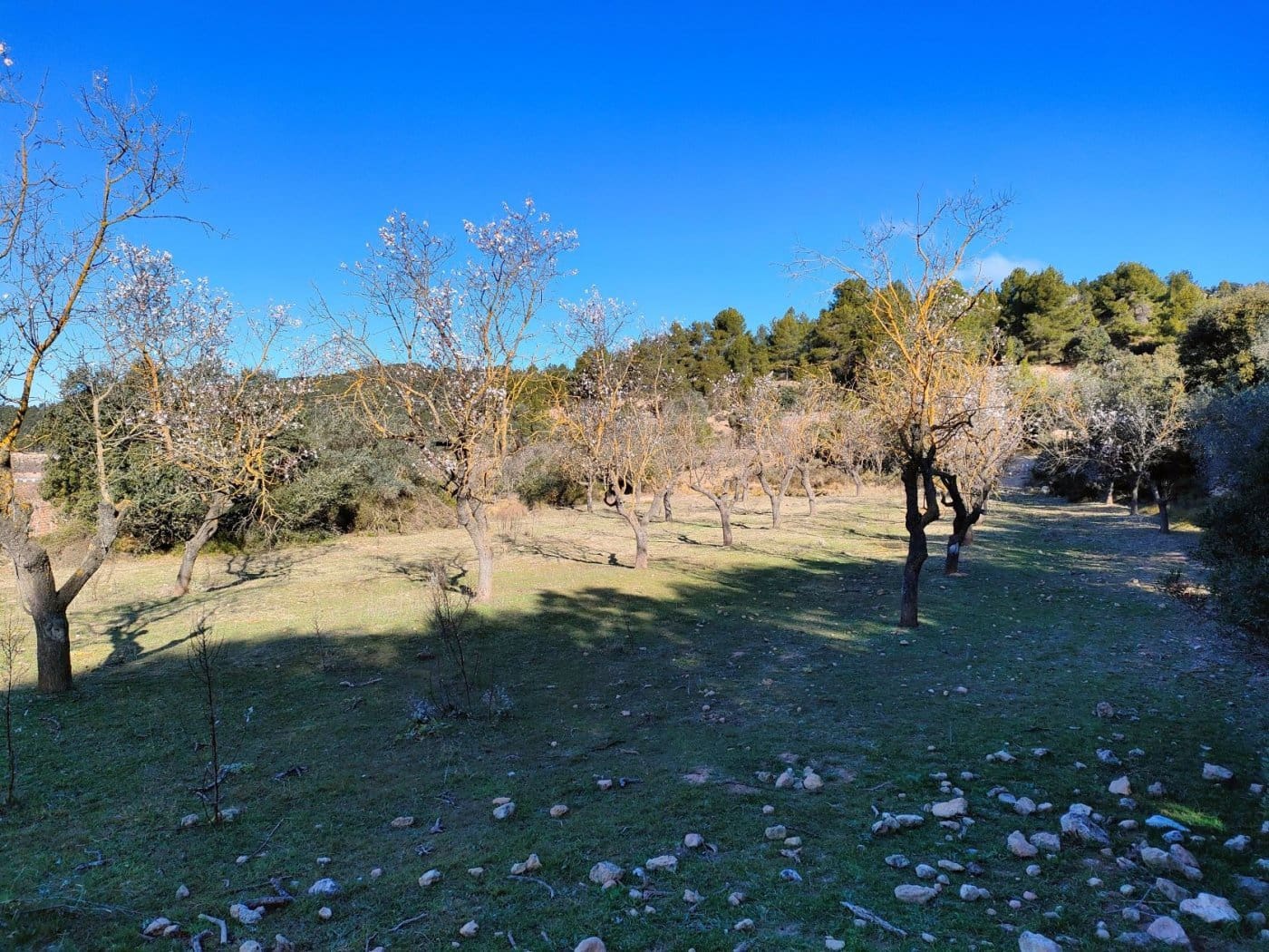 Finca/Landehus til salg i Horta de Sant Joan - € 25.000 (Ref: 9150209)