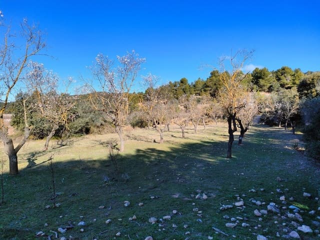 Finca/Landehus til salg i Horta de Sant Joan - € 25.000 (Ref: 9150209)