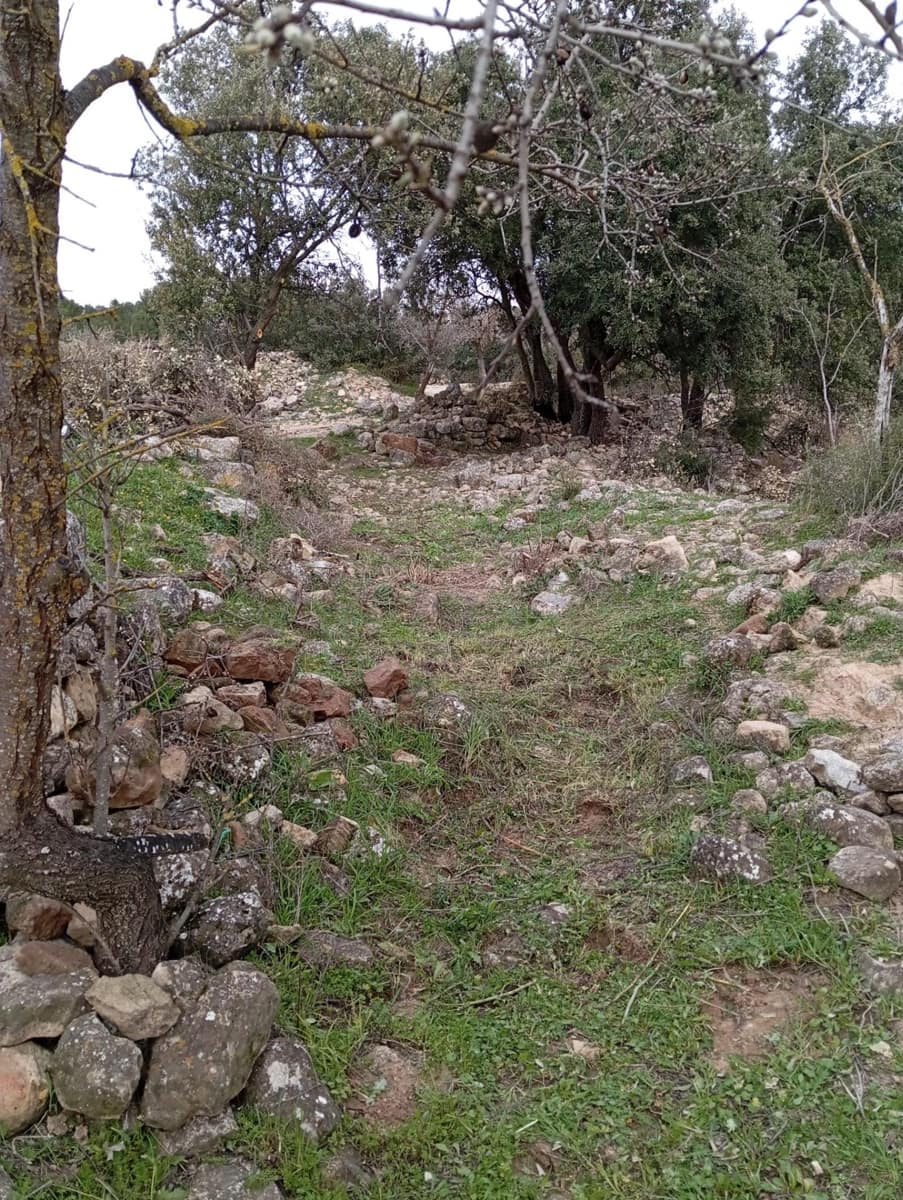 Finca/Country House for sale in Horta de Sant Joan - € 25,000 (Ref: 9150209)