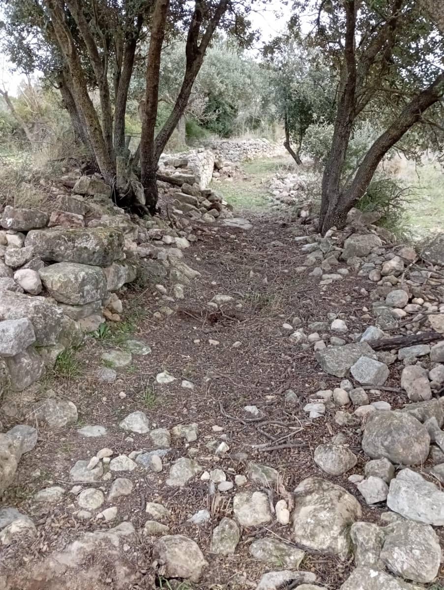 Finca/Country House for sale in Horta de Sant Joan - € 25,000 (Ref: 9150209)