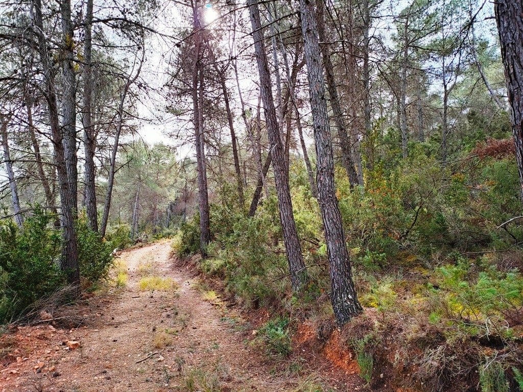 Finca/Landehus til salg i Valderrobres - € 11.000 (Ref: 9150212)