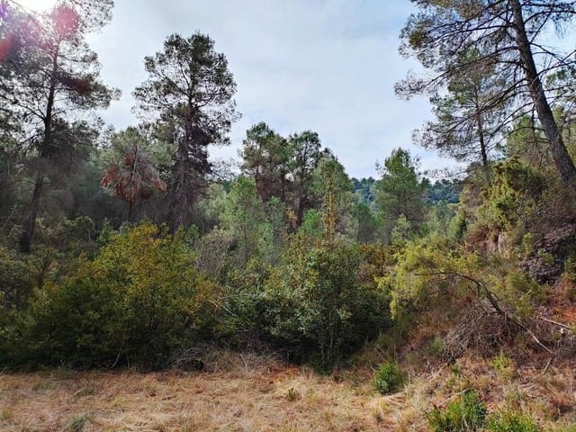 Finca/Landhuis te koop in Valderrobres - € 11.000 (Ref: 9150212)