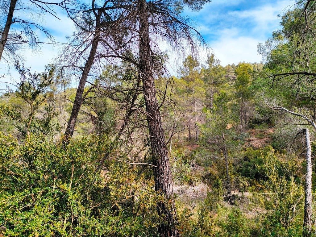 Finca/Landehus til salg i Valderrobres - € 11.000 (Ref: 9150212)