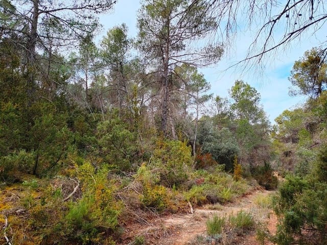 Finca/Landhuis te koop in Valderrobres - € 11.000 (Ref: 9150212)