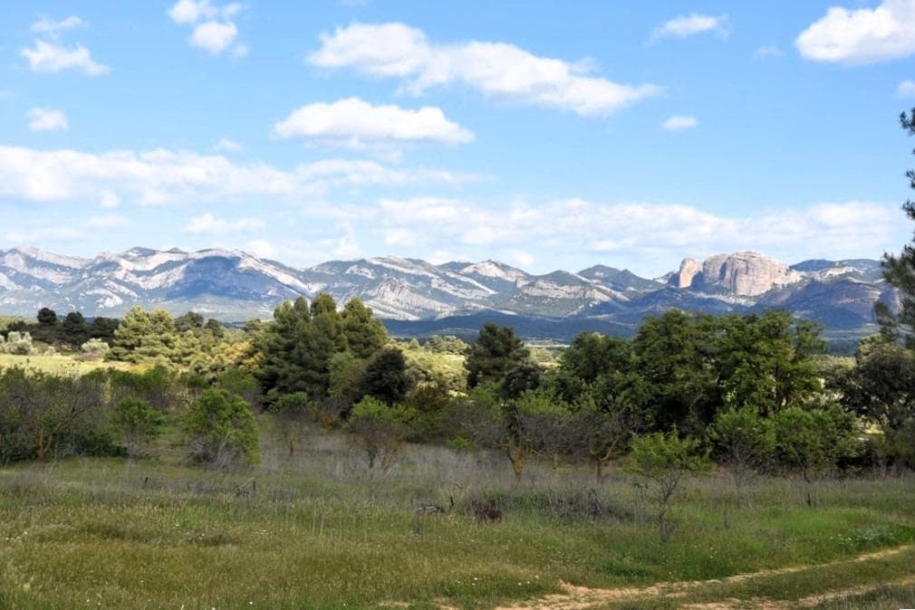 Finca/Landehus til salg i Cretas - € 93.000 (Ref: 9150216)