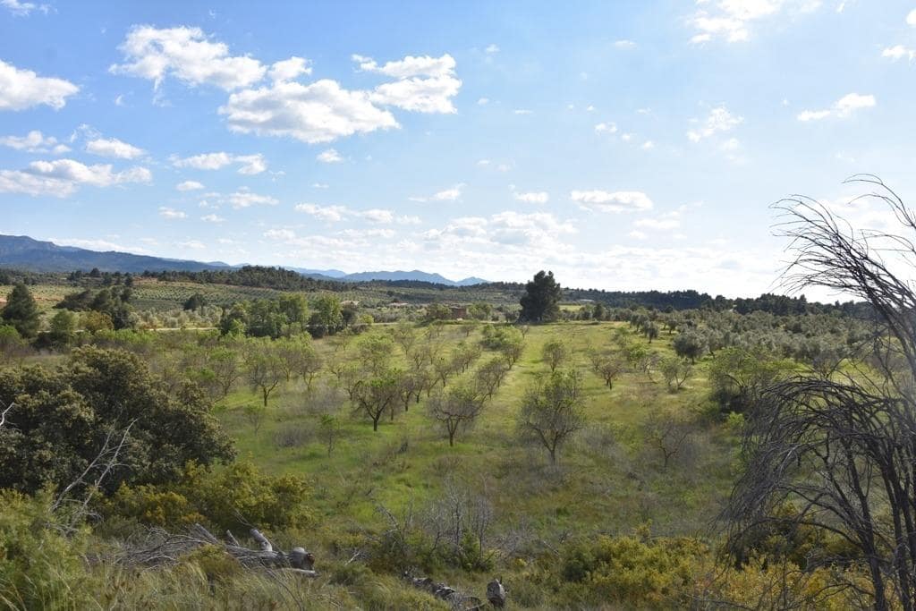 Finca/Landehus til salg i Cretas - € 93.000 (Ref: 9150216)