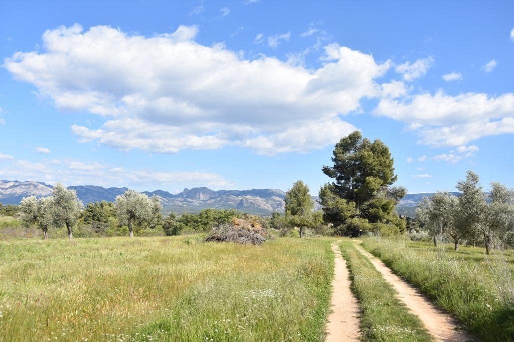 Finca/Landehus til salg i Cretas - € 93.000 (Ref: 9150216)