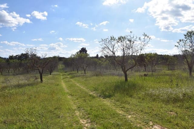 Finca/Landehus til salg i Cretas - € 93.000 (Ref: 9150216)