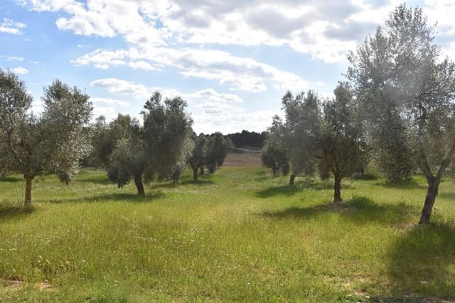 Finca/Landehus til salg i Cretas - € 93.000 (Ref: 9150216)