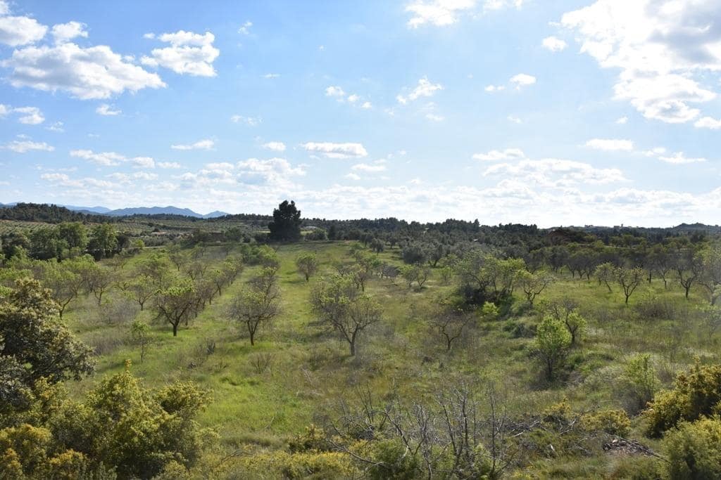 Finca/Landehus til salg i Cretas - € 93.000 (Ref: 9150216)