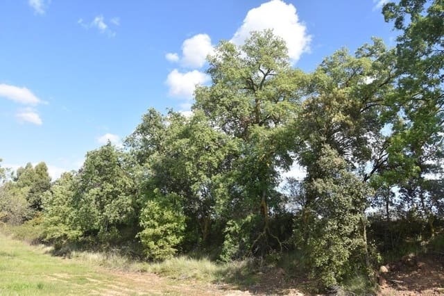 Finca/Landehus til salg i Cretas - € 93.000 (Ref: 9150216)