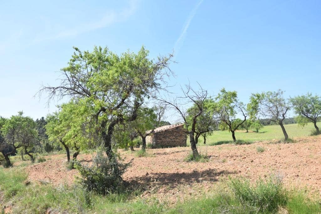 Finca/Landehus til salg i Cretas - € 31.750 (Ref: 9150217)