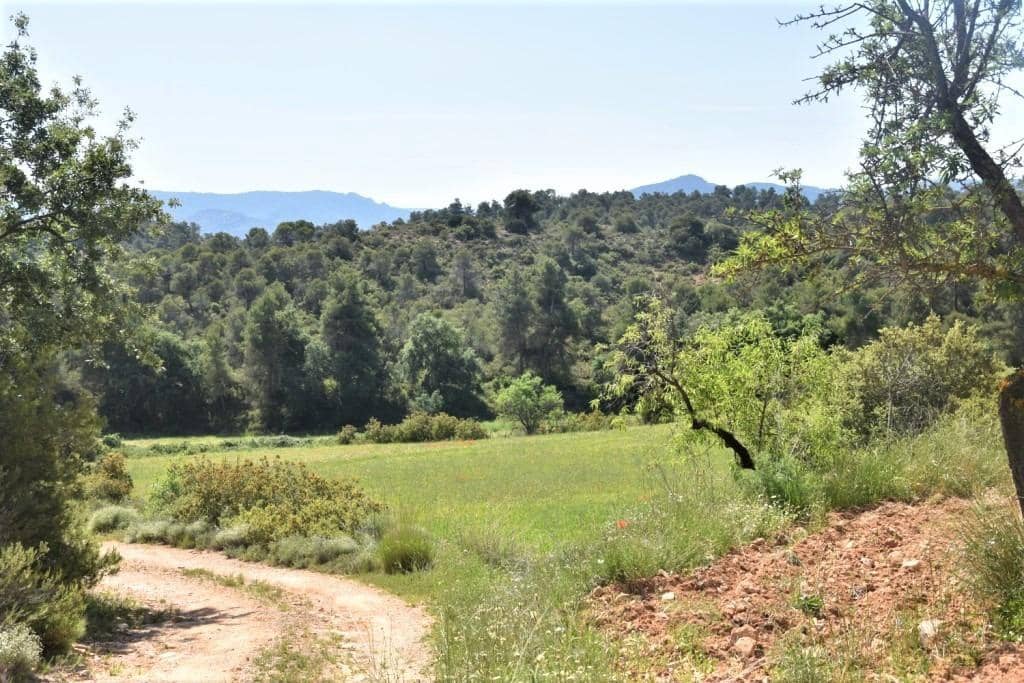 Finca/Landehus til salg i Cretas - € 31.750 (Ref: 9150217)