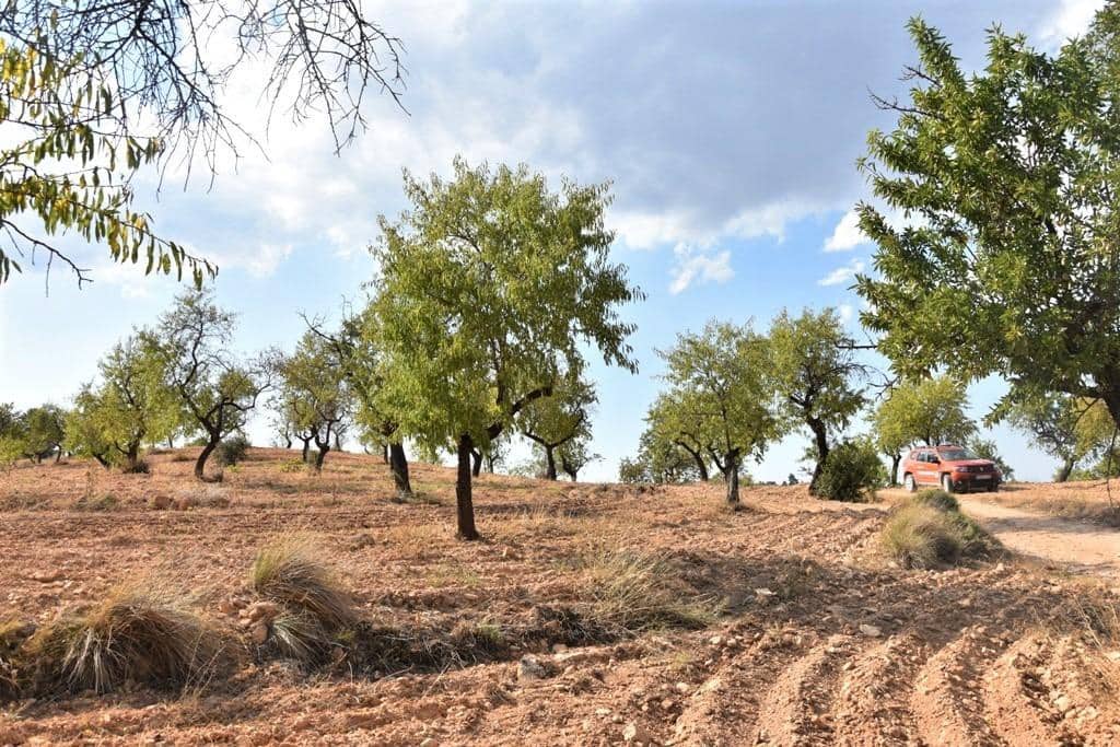 Finca/Landehus til salg i Cretas - € 31.750 (Ref: 9150217)