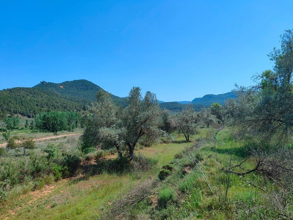 Finca/Landehus til salg i Rafales - € 12.500 (Ref: 9150218)