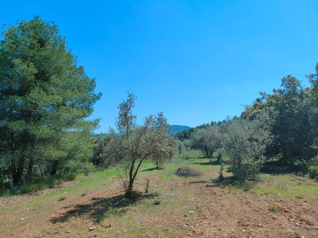 Finca/Landehus til salg i Rafales - € 12.500 (Ref: 9150218)