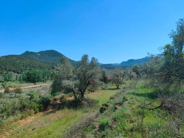 Finca/Casa di Campagna in vendita in Ráfales - 12.500 € (Rif: 9150218)