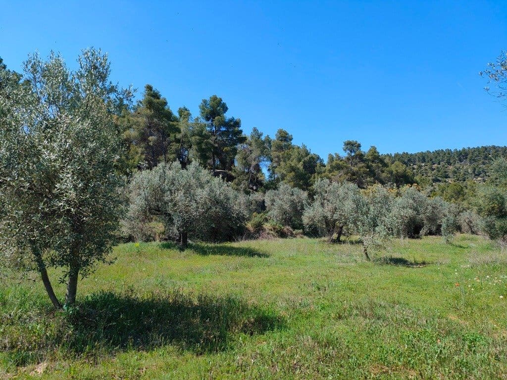 Finca/Landehus til salg i Rafales - € 12.500 (Ref: 9150218)