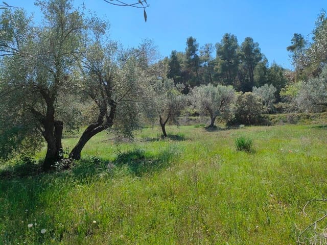 Finca/Casa di Campagna in vendita in Ráfales - 12.500 € (Rif: 9150218)