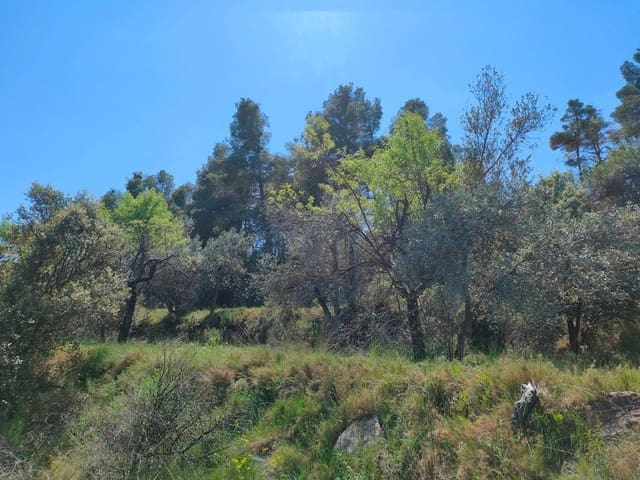 Finca/Casa di Campagna in vendita in Ráfales - 12.500 € (Rif: 9150218)