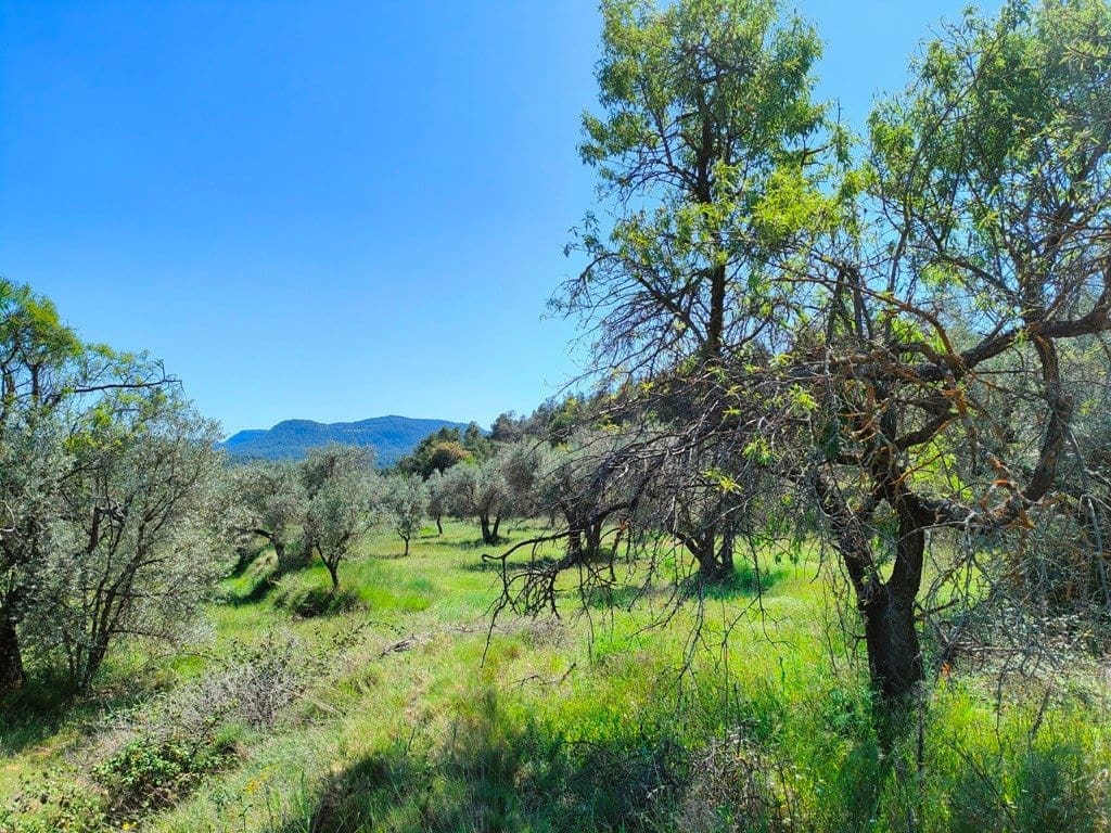 Finca/Landehus til salg i Rafales - € 12.500 (Ref: 9150218)