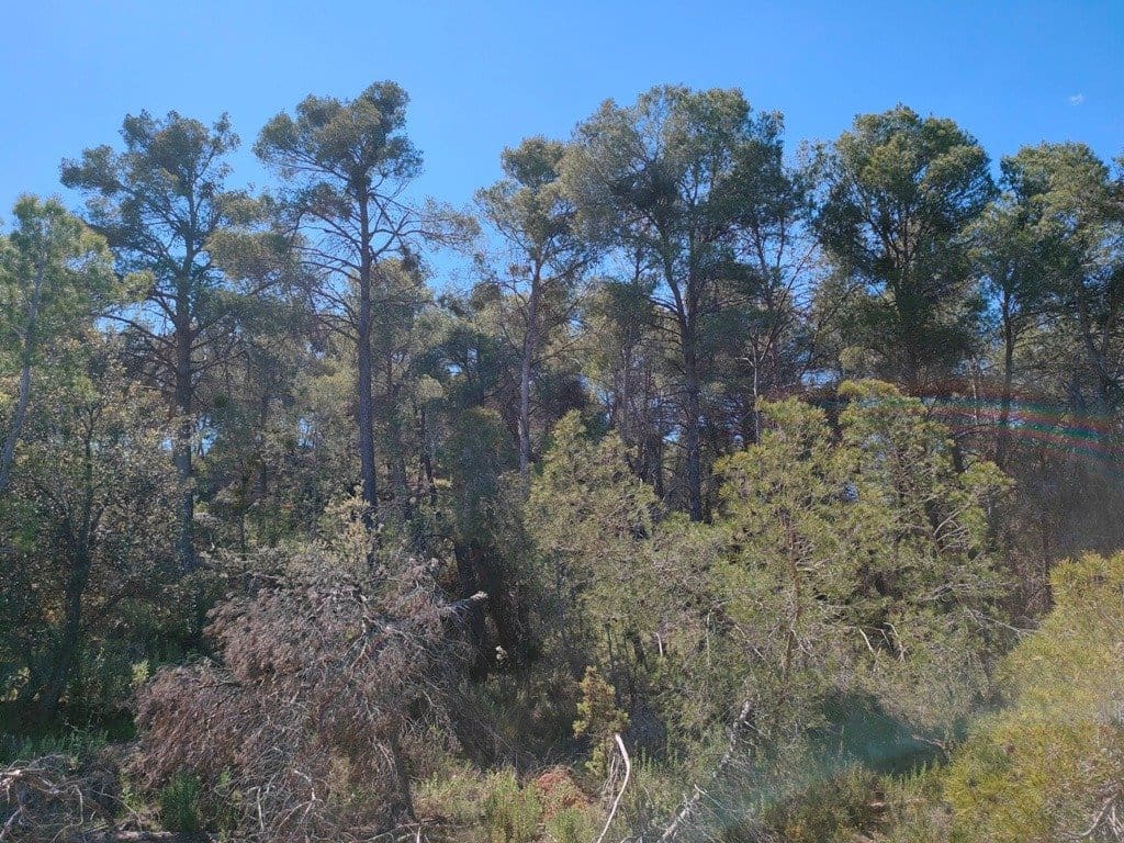 Finca/Landehus til salg i Rafales - € 12.500 (Ref: 9150218)