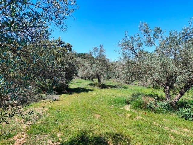 Finca/Casa di Campagna in vendita in Ráfales - 12.500 € (Rif: 9150218)