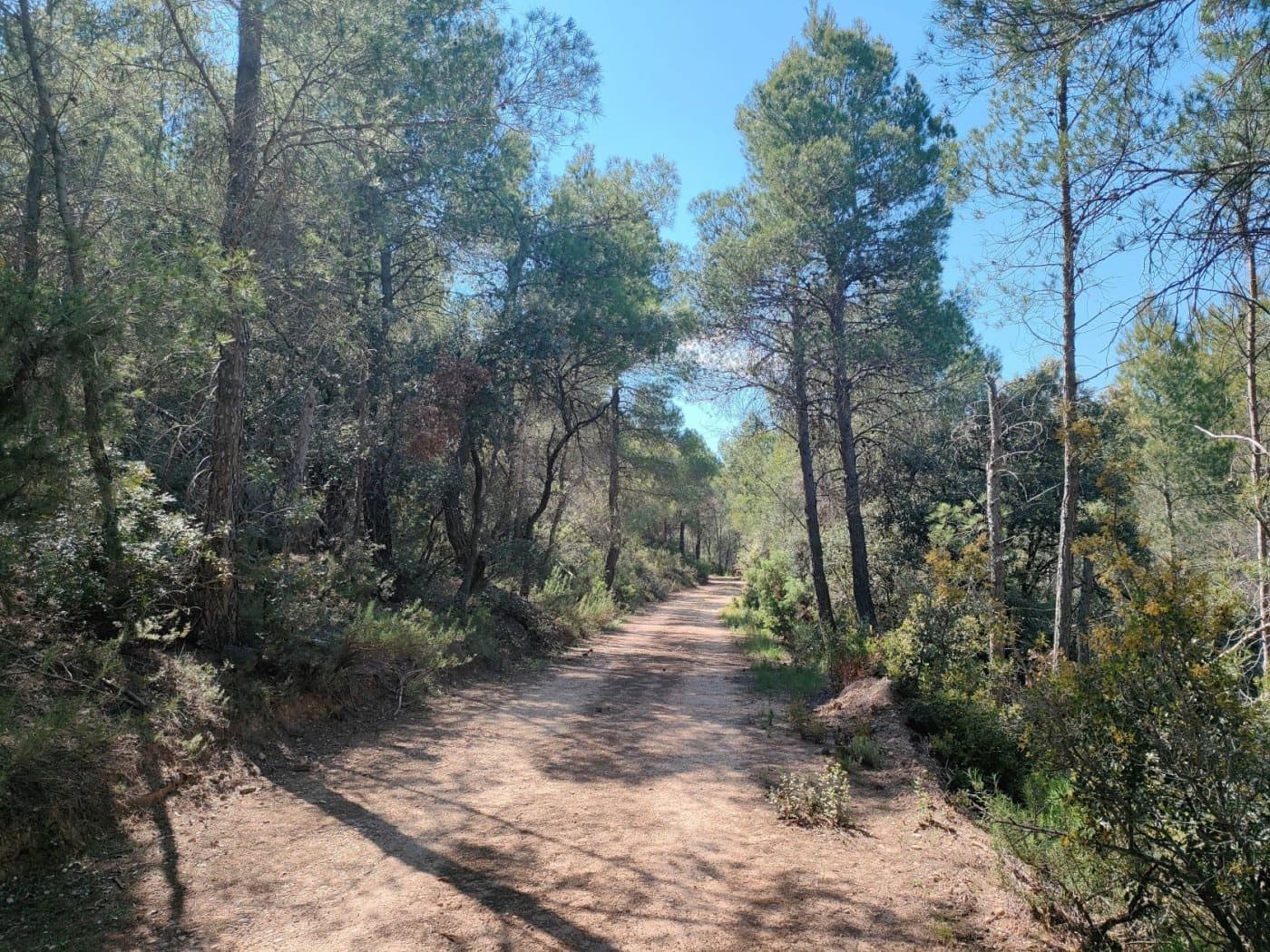 Finca/Landehus til salg i Rafales - € 12.500 (Ref: 9150218)