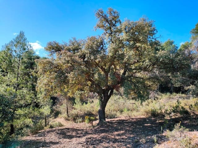 Finca/Casa Rural en Ráfales en venta - 70.000 € (Ref: 9150219)