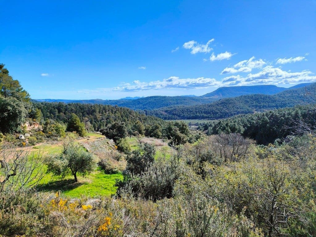 Finca/Landehus til salg i Rafales - € 70.000 (Ref: 9150219)