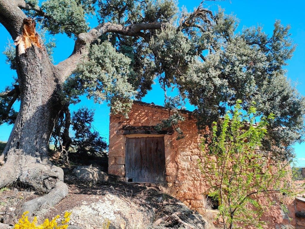 Finca/Landehus til salg i Rafales - € 70.000 (Ref: 9150219)