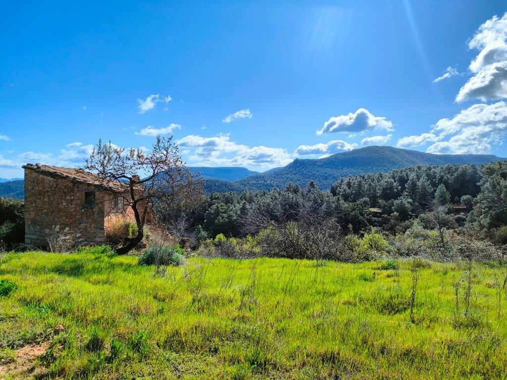 Finca/Landehus til salg i Rafales - € 70.000 (Ref: 9150219)