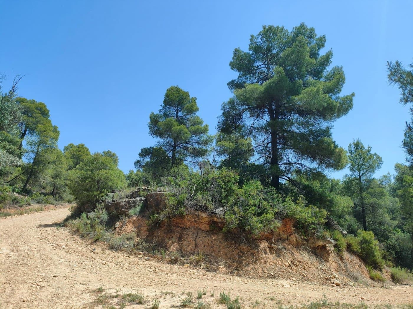 Finca/Landehus til salg i La Portellada - € 35.000 (Ref: 9150221)