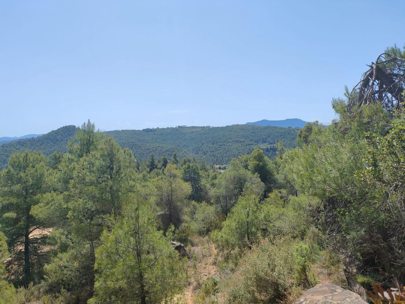 Finca/Landehus til salg i La Portellada - € 35.000 (Ref: 9150221)