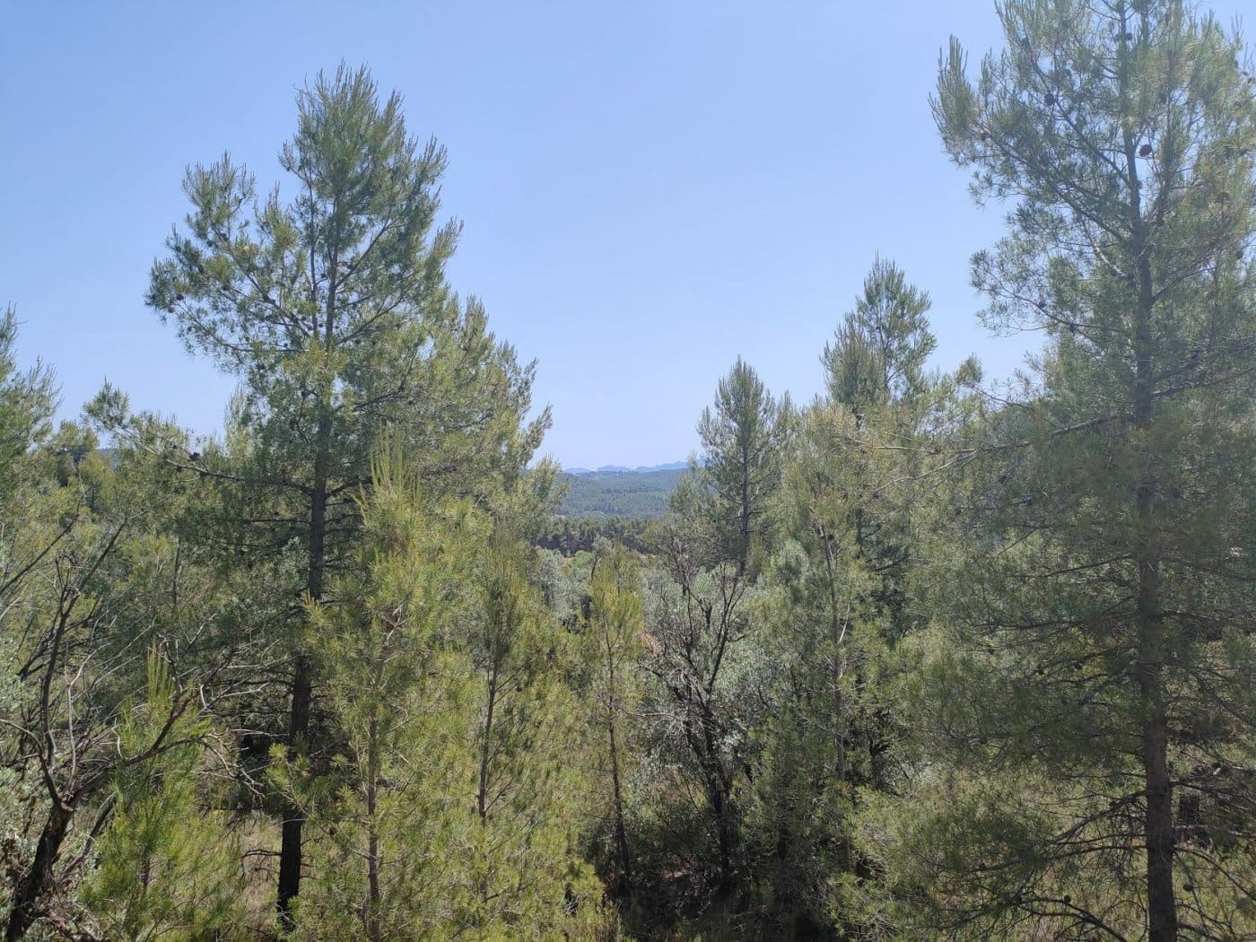 Finca/Landehus til salg i La Portellada - € 35.000 (Ref: 9150221)