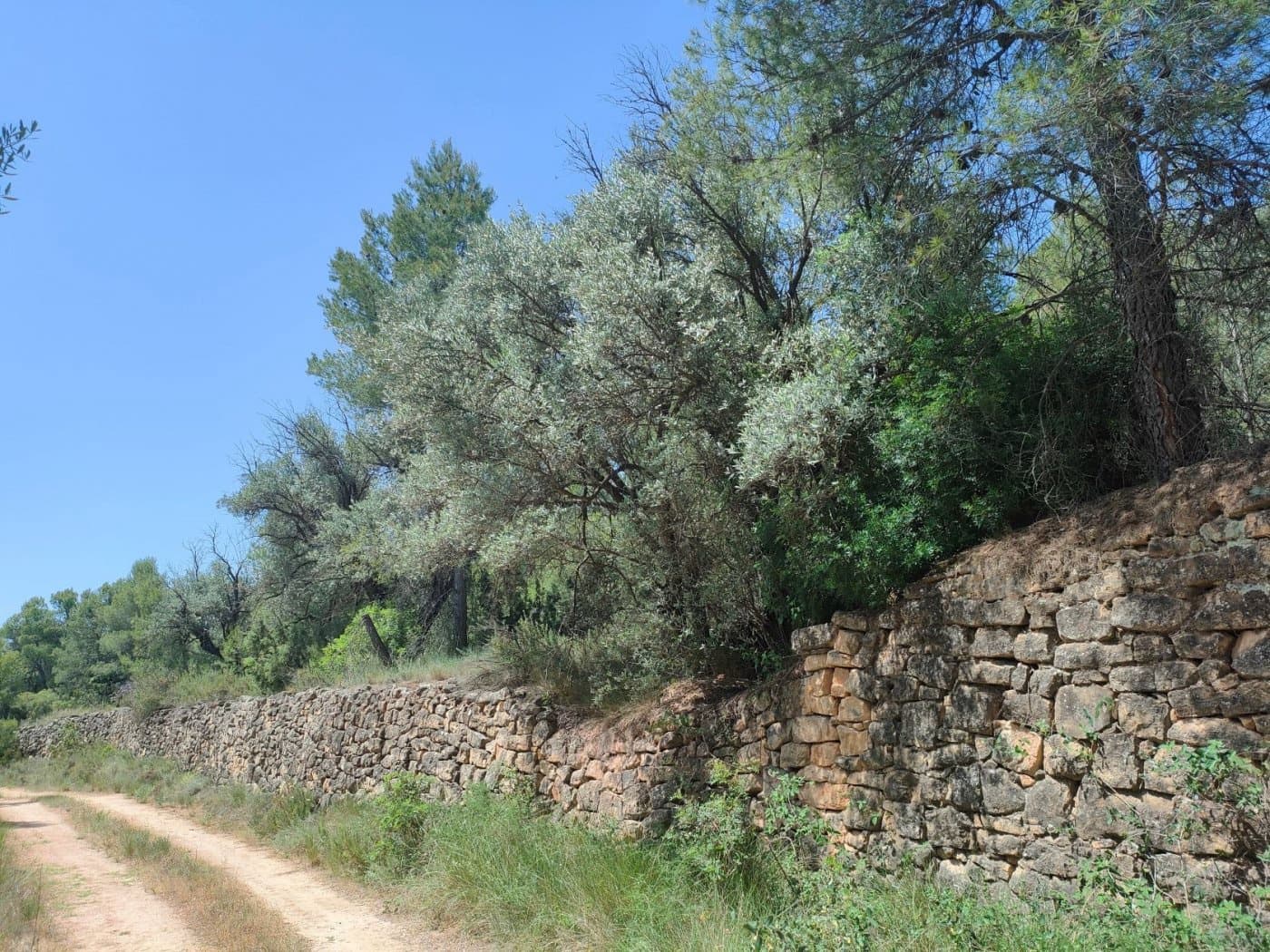 Finca/Landehus til salg i La Portellada - € 35.000 (Ref: 9150221)