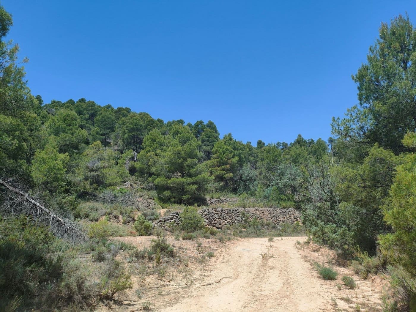 Finca/Landehus til salg i La Portellada - € 35.000 (Ref: 9150221)