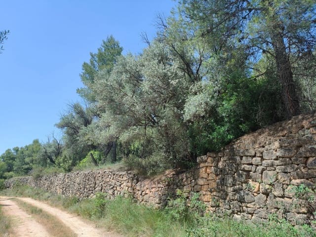 Finca/Country House for sale in La Portellada - € 35,000 (Ref: 9150221)