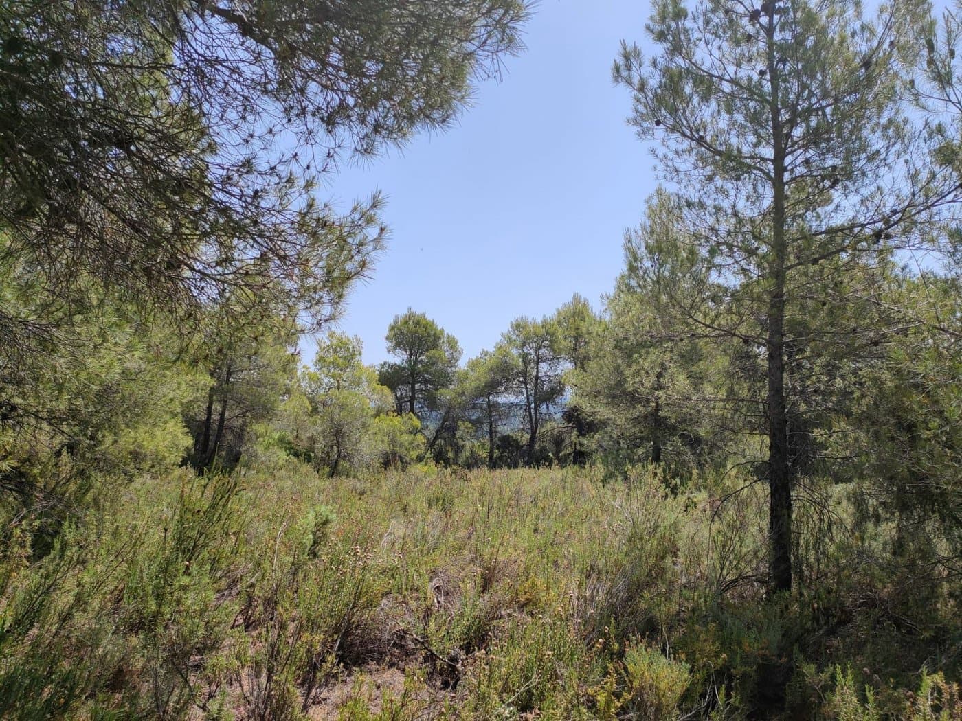 Finca/Landehus til salg i La Portellada - € 35.000 (Ref: 9150221)
