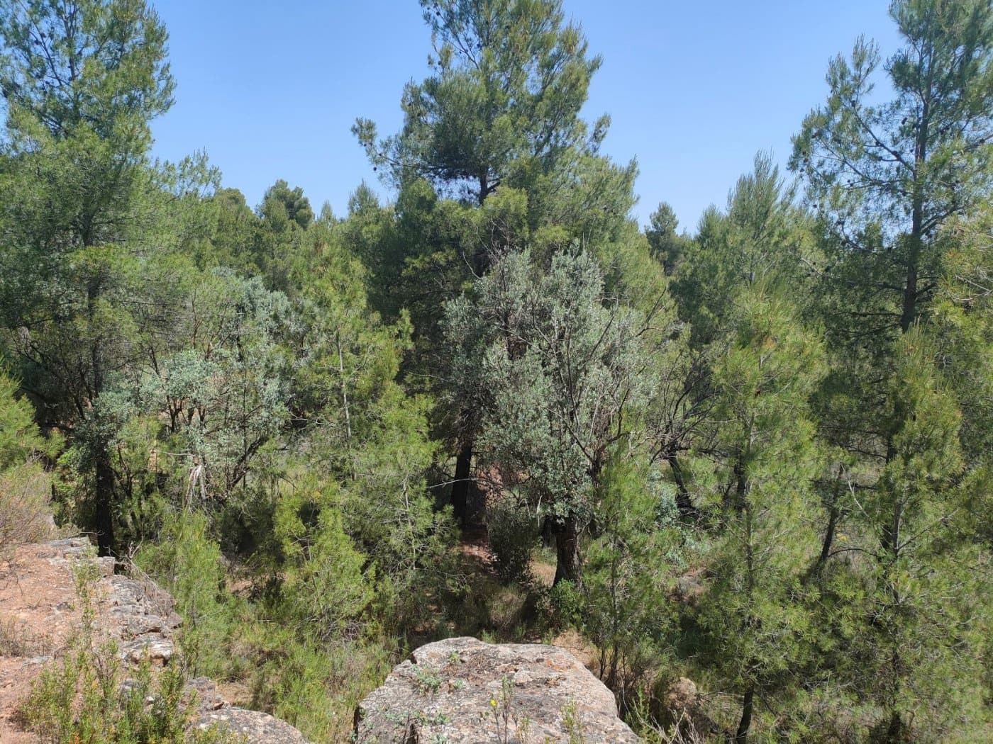 Finca/Landehus til salg i La Portellada - € 35.000 (Ref: 9150221)