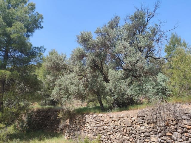 Finca/Country House for sale in La Portellada - € 35,000 (Ref: 9150221)