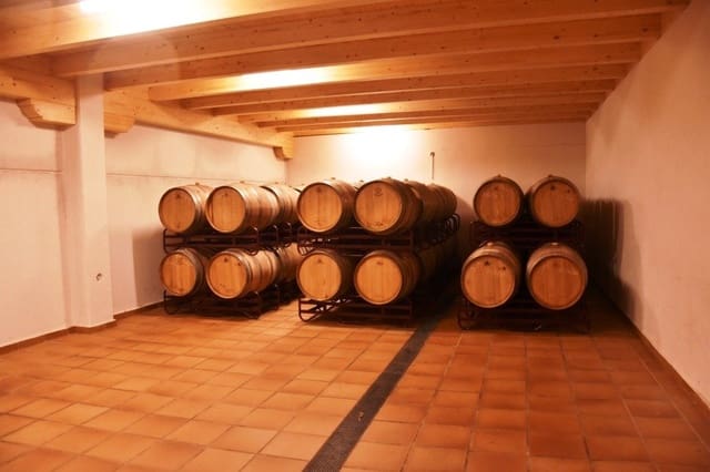 Commercial for sale in Arens de Lledó with garage - € 600,000 (Ref: 9150223)